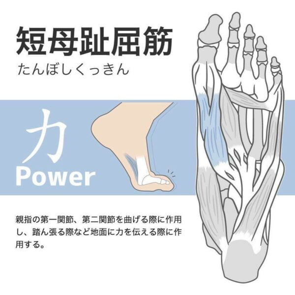 Activital Foot Supporter Pro White/Black - Image 2